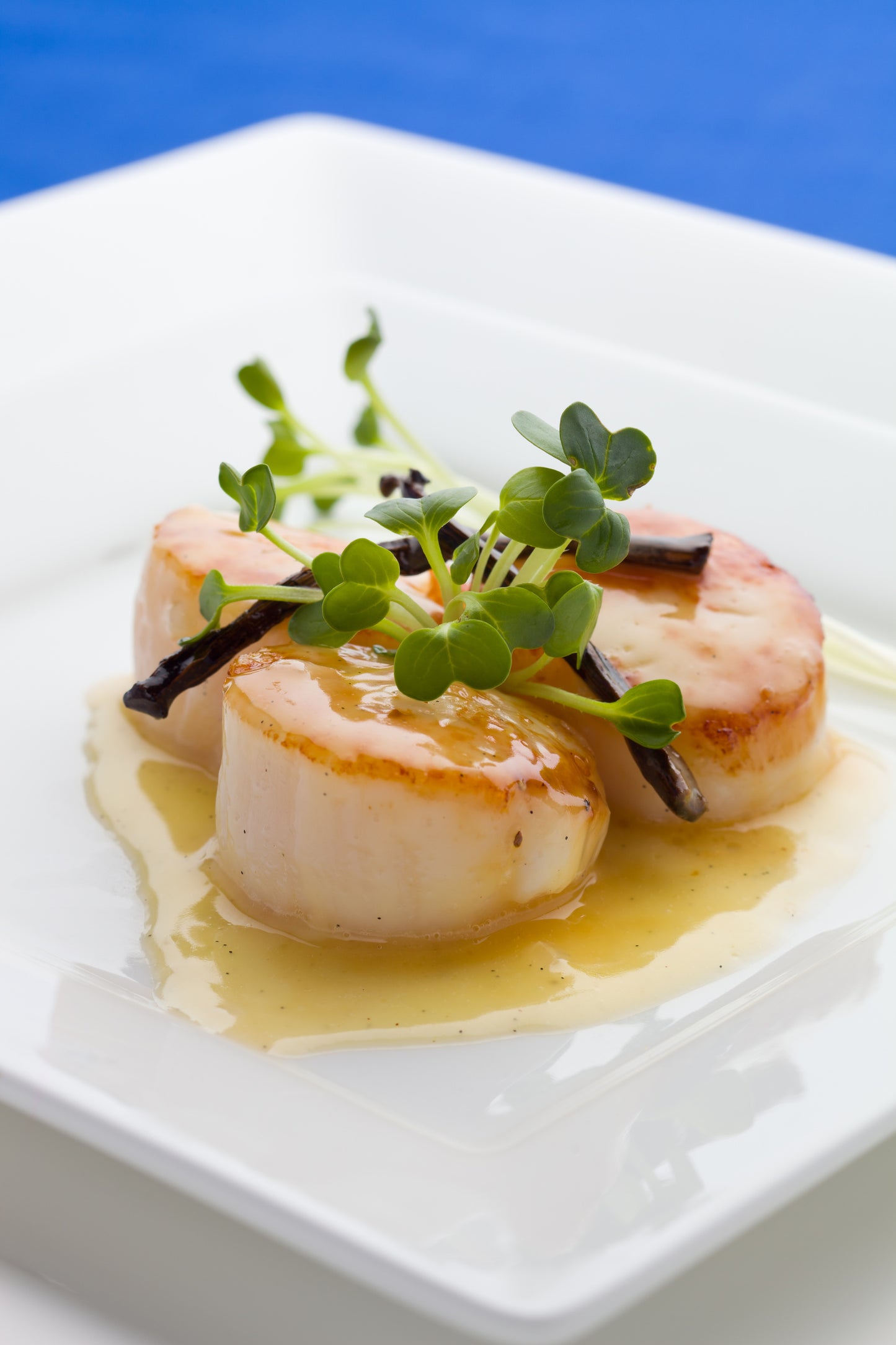 King Scallops Roe-On