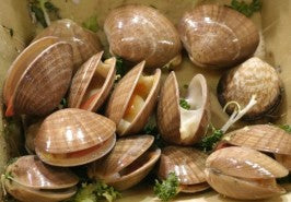 Whole Clams