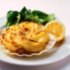 COQUILLES SAINT-JACQUES