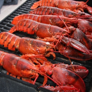 WHOLE COOKED LOBSTER